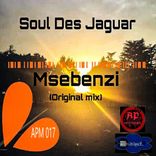 Artwork for "Msebenzi"