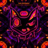 Artwork voor "Absolutely Amazing E.P."