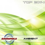 Artwork for "Ambient Top 2014"