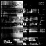 Artwork voor "Algarade"