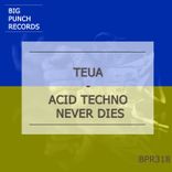 Artwork for "Acid Techno Never Dies"