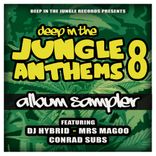 Artwork for "Deep In The Jungle Anthems 8 - LP Sampler"