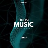 Artwork for "House Music (In My House)"