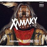 Artwork voor "Missing You"