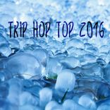 Artwork voor "Trip Hop Top 2016"
