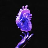 Artwork voor "Hearts"