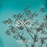 Portada para "Haunting Me"