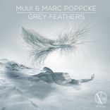 Artwork for "Grey Feathers"