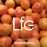 Portada para "Abundance"