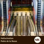 Artwork für "Hallucination"