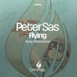 Artwork voor "Flying"