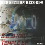 Artwork voor "Temple EP"