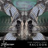 Artwork for "Raccoon"