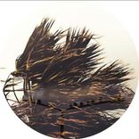 Thinking Of The Days