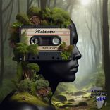 Portada para "Malandro"