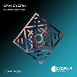 Remain Forever (Extended Mix)