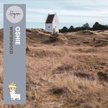 Artwork for "Wintergold"