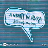 Artwork voor "A Night In Ibiza"