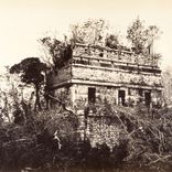 Artwork for "Flesh Of Gods"