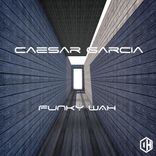 Artwork für "Funky Wah"