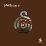 Artwork voor "Safari Orange"