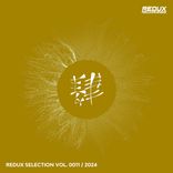 Artwork for "Redux Selection, Vol. 11 / 2024"
