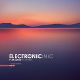 Artwork voor "Electronic Pleasures, Vol. 1"