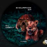 Artwork for "Endurance EP"