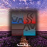Artwork for "Purple Fields"