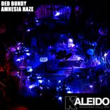 Artwork for "AMNESIA HAZE"