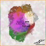 Artwork voor "Flames"