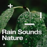 Artwork for "Rain Sounds Nature"