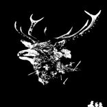 Portada para "Hunted"