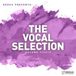Artwork for "Redux Presents: The Vocal Selection, Vol. 1: 2019"
