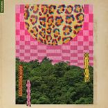 Artwork für "Presents Ragga Preservation Society - Worldwide Sound"