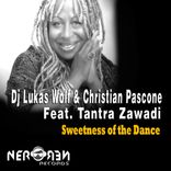 Artwork for "Sweetness of the Dance"