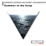 Artwork voor "Summer In Da Loop"