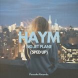 Artwork for "Big Jet Plane"