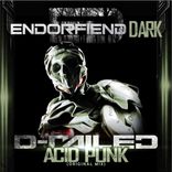 Portada para "Acid Punk"