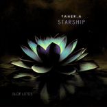 Artwork for "Starship"