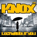 Artwork für "Lost Without You"