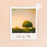 Artwork voor "Little by Little"
