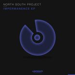 Artwork for "Impermanence"