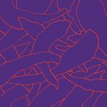 Glitch Plaid (Interlude)