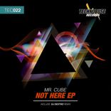 Artwork voor "Not Here EP"