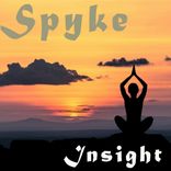 Artwork voor "Insight"