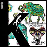 Artwork for "Pachiderma"