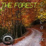 Artwork for "The Forest"