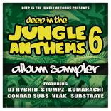 Artwork voor "Deep In The Jungle Anthems 6 - Album Sampler"