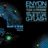 Artwork voor "Took A Promise"